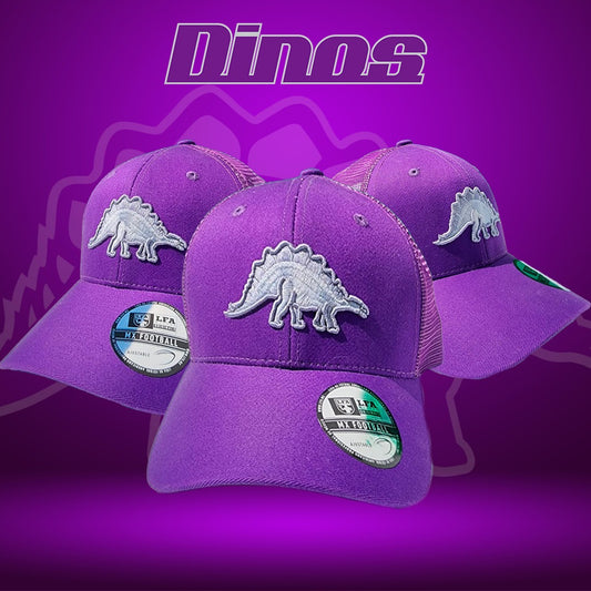 GORRA 940 DINOS PRPL SILVER INV